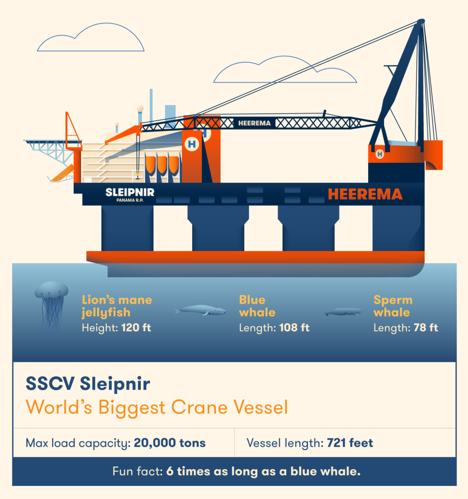 SSCV Sleipnir là một con tàu cực kỳ dài - dài gấp sáu lần cá voi xanh